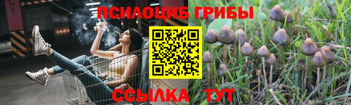 как найти наркотики  Псилоцибиновые грибы мухоморы  Вход с VPN  Азнакаево 